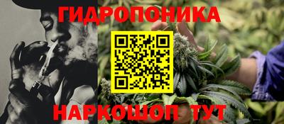 apvp Тара